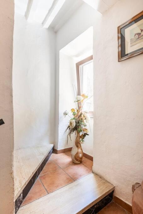 皮蒂利亚诺Casa Nel Corso公寓 外观 照片